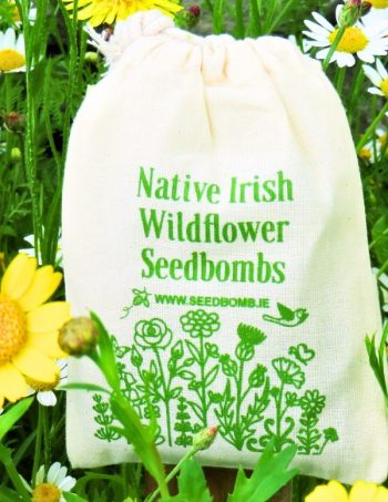 50 Native Irish Wildflower Seed Bombs