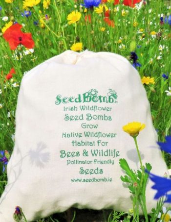 500 Native Irish Wildflower Seed Bombs