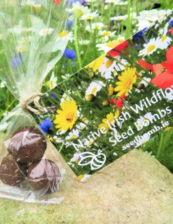 Irish Native Wildflower Garden Seed Bomb Gift Favors Supporting Bees & Butterflies