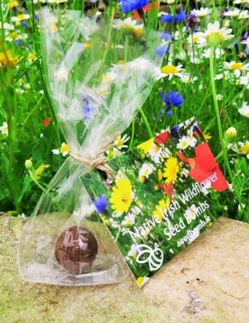 5 Irish Wildflower Seed Gift Favours Free Shipping